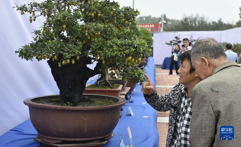在线足球平台